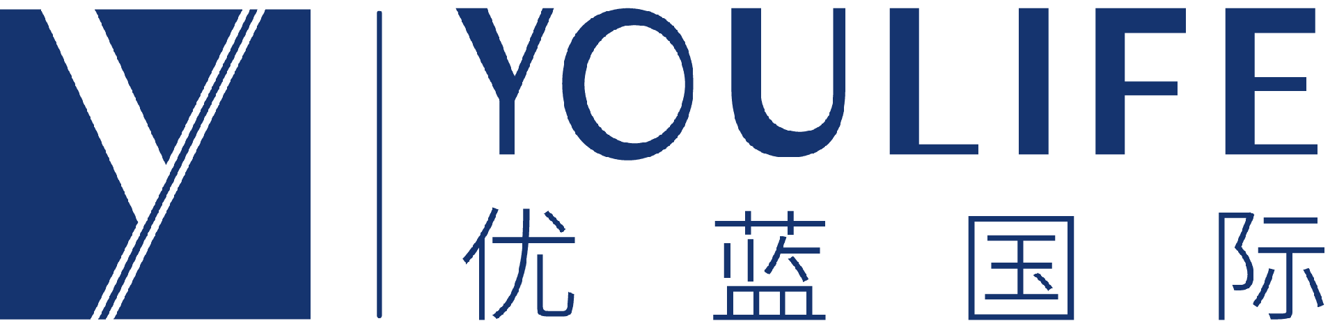 Youlife International