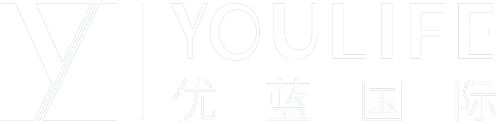 Youlife International