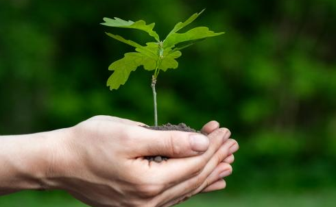 Social Responsibility