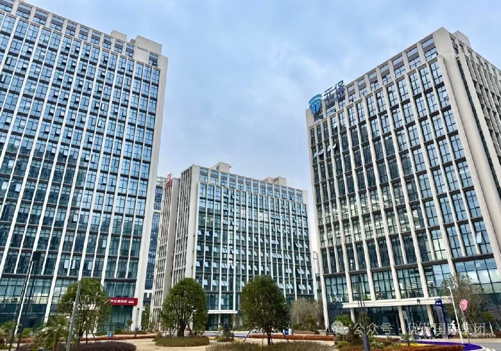 Group News | Wang Yunlei, Chairman of Youlan International, and his delegation went to the Shangrao High speed Railway Economic Pilot Zone to conduct research on cooperation in digital economy full industry chain services